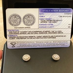 Pair of 14 Karat white gold earrings